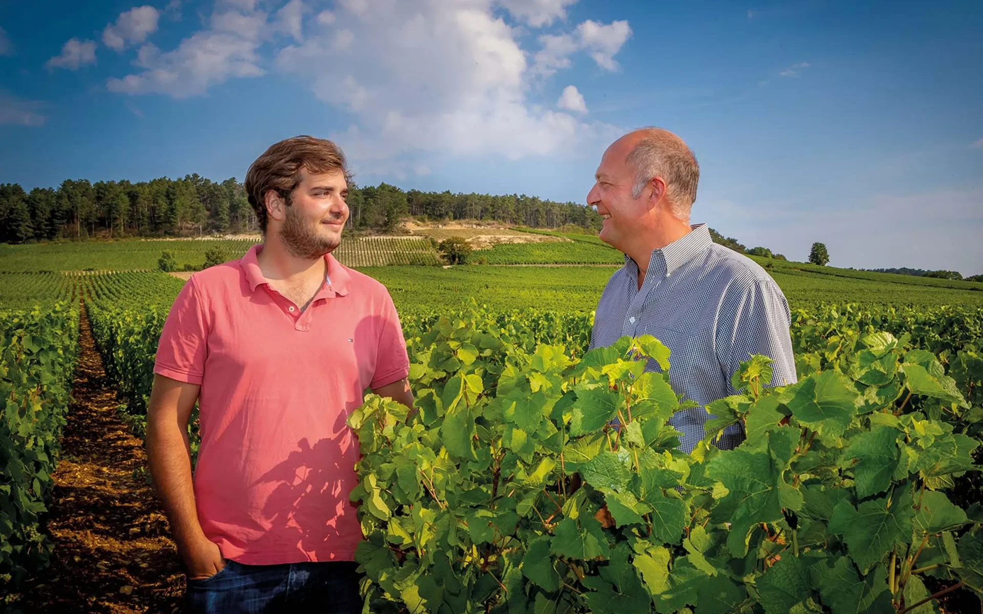 Domaine Henri Delagrange