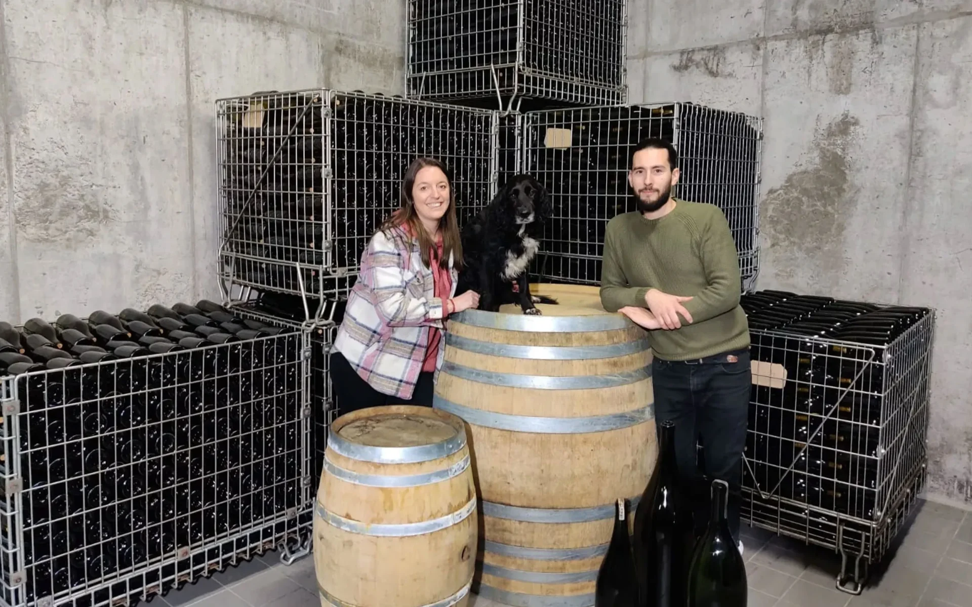 Domaine Thierry Merlin Cherrier