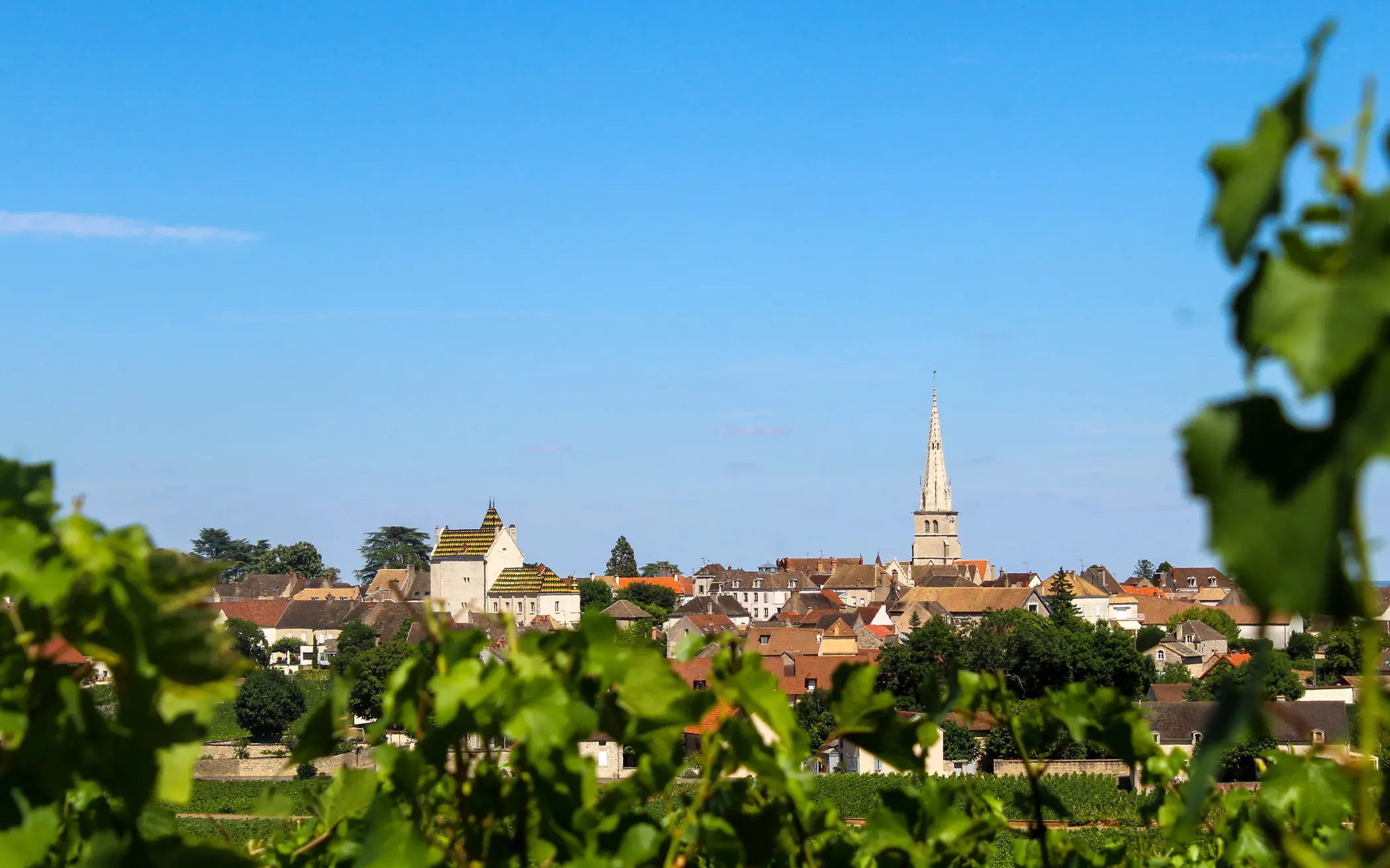 Domaine Jean Monnier